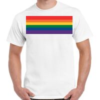 Gildan Adult Cotton Tee  Thumbnail
